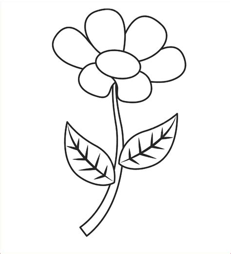 30 Gambar Sketsa Bunga Mudah Bunga Matahari Mawar Tulip Sakura
