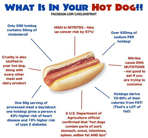 Interesting Facts About Hot Dogs Just Fun Facts Riset