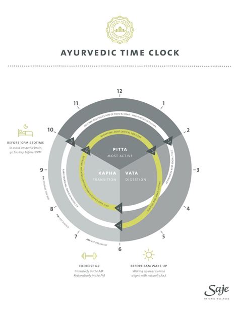 Image Result For The Ayurvedic Clock Ayurvedic Medicine Ayurveda