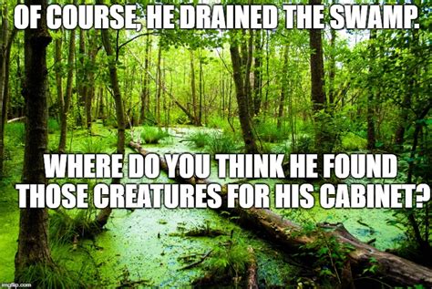 Swamp Imgflip