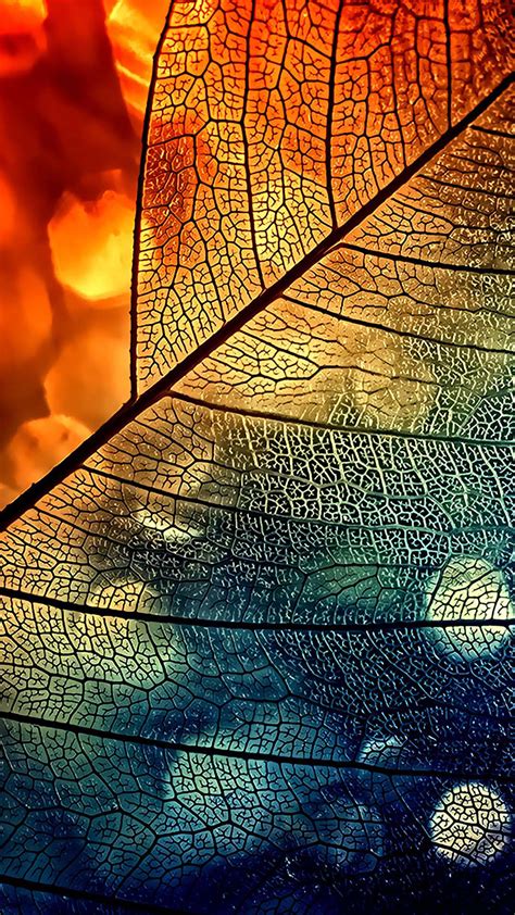 Bokeh Abstract Transparent Leaf Blue Orange Android