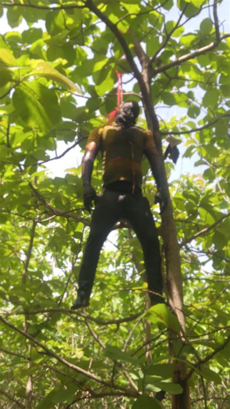 Omg Body Found Hanging Dead On A Tree In Atebubu At Be Enfrans Media