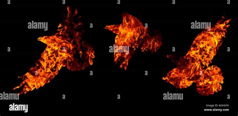 Common Raven Are Fire Isolated On Black Stock Photo Alamy