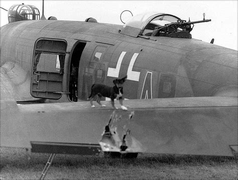 Damaged Focke Wulf Fw 200 Condor Coded F8ar Of 1kg 40 Aircraft
