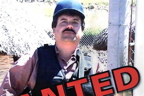 Quién Es El “chapo” Guzmán El Narco Al Que Llaman El Bin Laden De México Sucesos La Voz Del