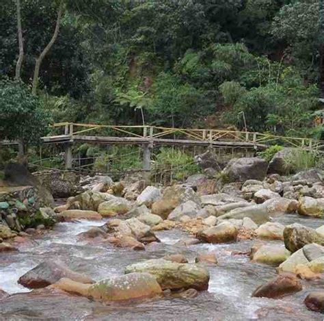 Objek wisata alam terbaru, kekinian & paling hits yang kaya pesona, wajib anda eksplor saat memilih liburan ke. 27 Tempat Wisata Di Bogor Yang Murah, Kekinian & Paling ...