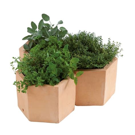 Hexagonal Terracotta Herb Pot 25cm Herb Pots Terracotta Herb Pots