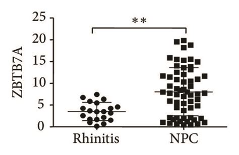 validation of microarray data by qpcr in npc and chronic rhinitis download scientific diagram