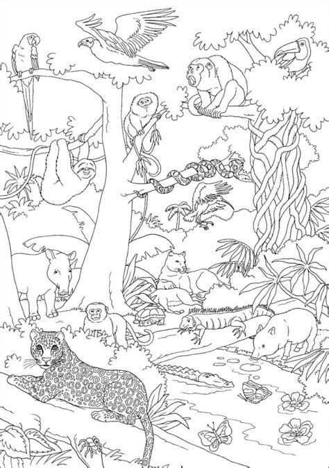 Drawing Of Jungle Animals Coloring Page Download Print Or Color