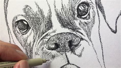 How To Stipple A Boxer Dog Zoe Stippling Progress And Time Lapse Youtube