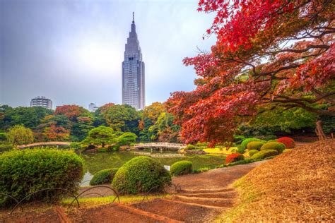 Tokyo Things To Do And See Halal Travel Guide