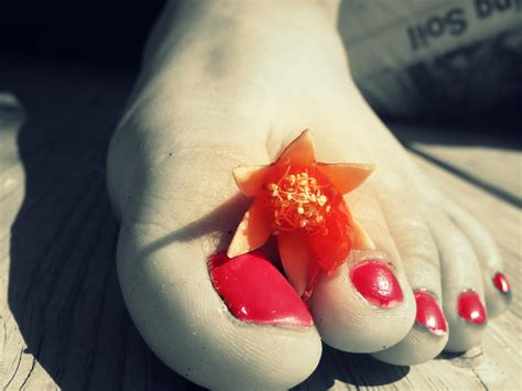 My Toes Red Orange Flower By Simplethingsfeet On Deviantart