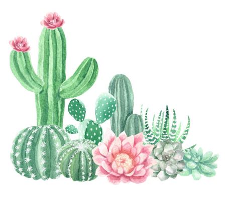 Royalty Free Watercolor Flowers And Cactus Wreath Clip Art Vector