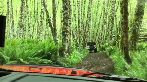 Some of the more popular areas include browns camp, jordan creek, and diamond mill ohv areas, for more information visit tillamook state forest ohv trail map. Tillamook State Forest May 2016 - YouTube