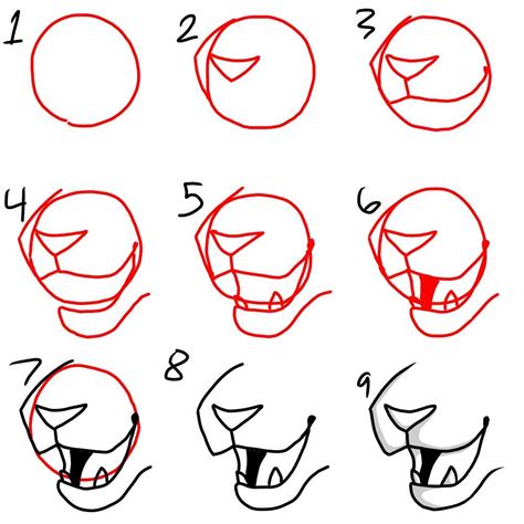 Https://tommynaija.com/draw/how To Draw A Cat Muzzle