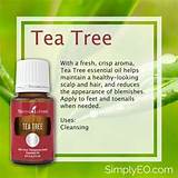 Young Living Tea Tree Oil Pictures