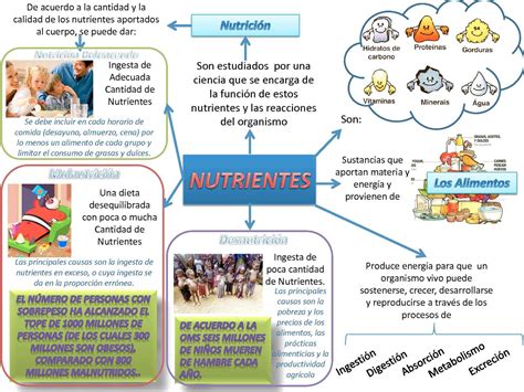 Mapa Mental Sobre Nutrientes Edubrainaz