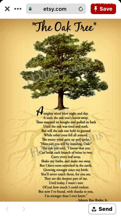 Encouragement Quotes Wisdom Quotes Quotes To Live By Tree Poem Tree