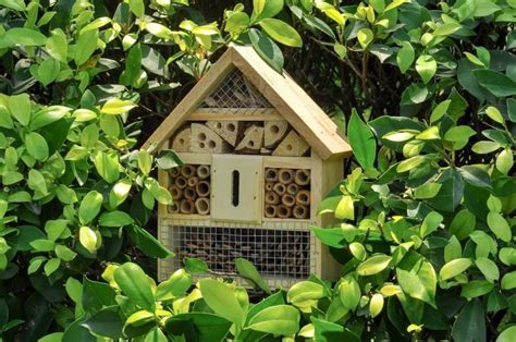 Beehive registration is compulsory australia wide. 29 Beautiful Backyard Bee Hives