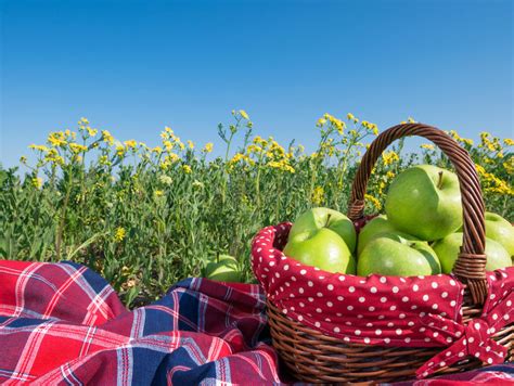 Picnic Basket And Blanket Stock Photo Image Of Field 90894982