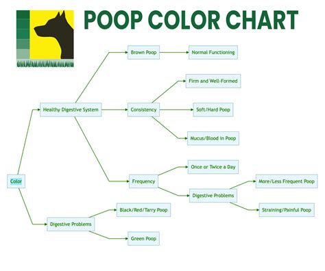 Understanding Dog Poop And Your Dogs Health Yardsweepers