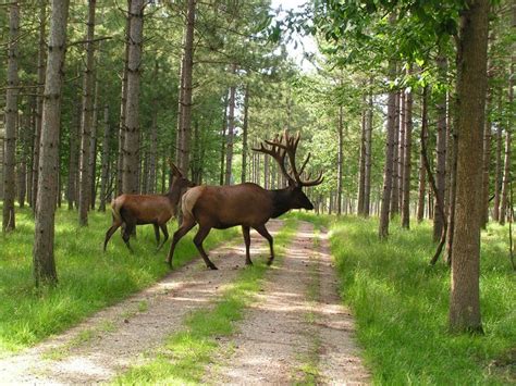 Shalom Wildlife Sanctuary 100 Acres Of Wildlife Land Located In West