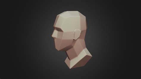 Planes Of Head Male Download Free 3d Model By Jeno Imjeno 6af48bf
