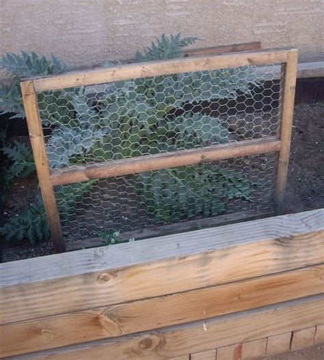 Apart from poultry fence, it is an excellent way of making vertical trellis for cucumbers, peas and beans. 25 DIY Pea Trellis Ideas For Your Garden | Gardenoid