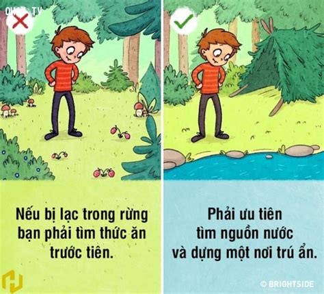 6 kỹ năng sinh tồn trong rừng đơn giản dễ nhớ chuyentactical