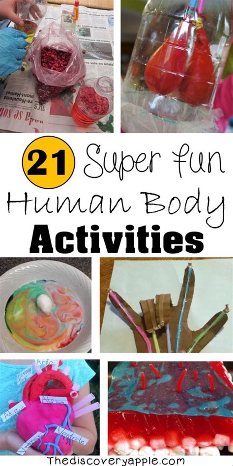 21 Super Fun Human Body Activities And Experiments For Kids Human