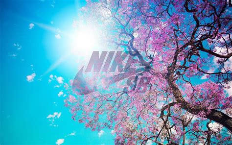 If you want to push on through that workout, nike trainers make it possible: Nike SB Logo Wallpapers - Wallpaper Cave
