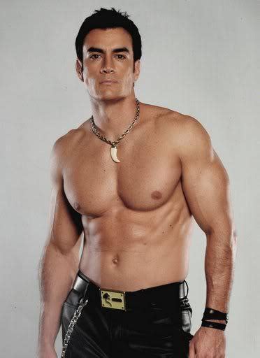 David Zepeda Is A Popular Mexican Telenovela Star He Also Gay Channel