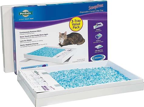 How Often To Change Cat Litter Crystals Homes And Apartments For Rent