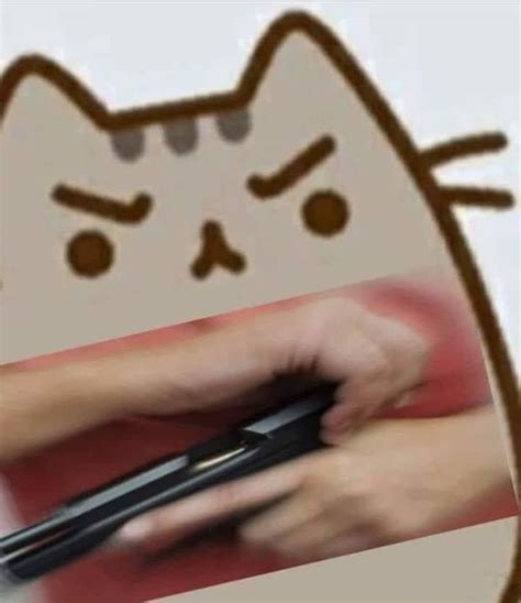 Cat Is Displeased Pusheen Cute Memes Anime Meme Face Mood Pics