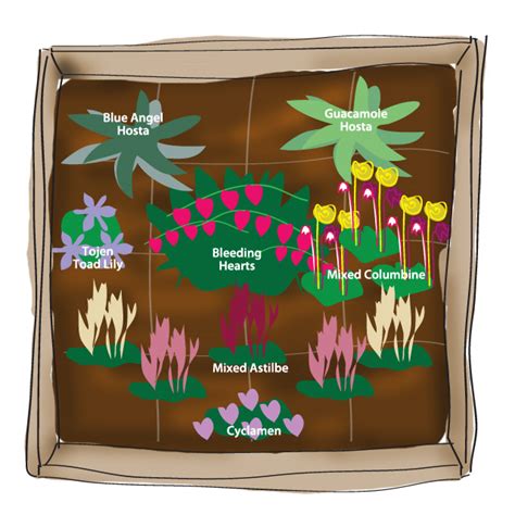 Fall planted bulbs spend the rest of the year and winter growing roots and preparing to grow leaves you can also keep squirrels at bay by planting allium bulbs with them (they smell garlicky) or putting. Garden Plans Zone 7 PDF