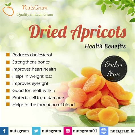 9 Health Benefits Of Dried Apricots How Many To Eat In A Day Artofit