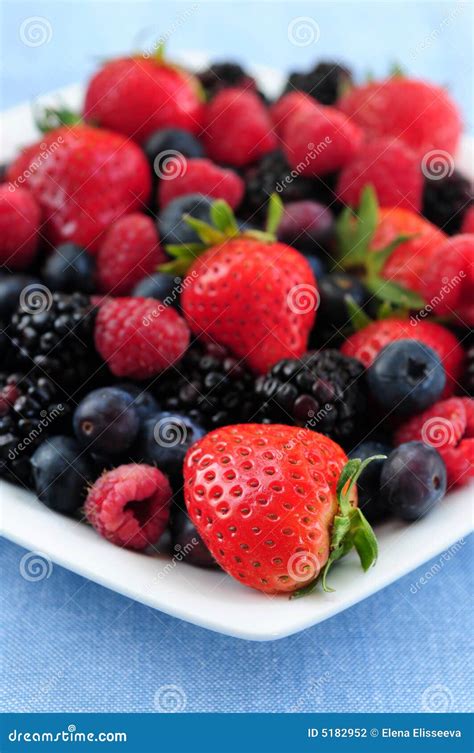 Assorted Fresh Berries Stock Photo Image Of Healthy Berries 5182952