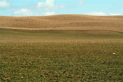 Barren Land Free Photo Download Freeimages