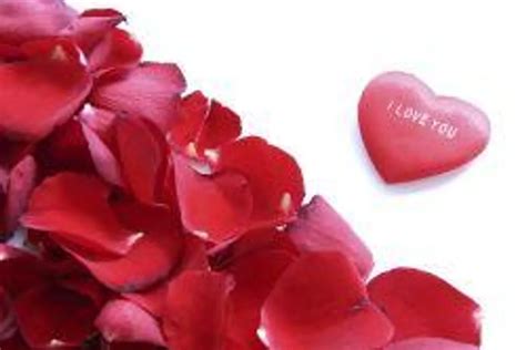 Slatke Ljubavne Poruke Za Valentinovo Ženahr