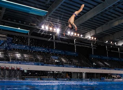 The 6 Types Of Springboard And Platform Dives