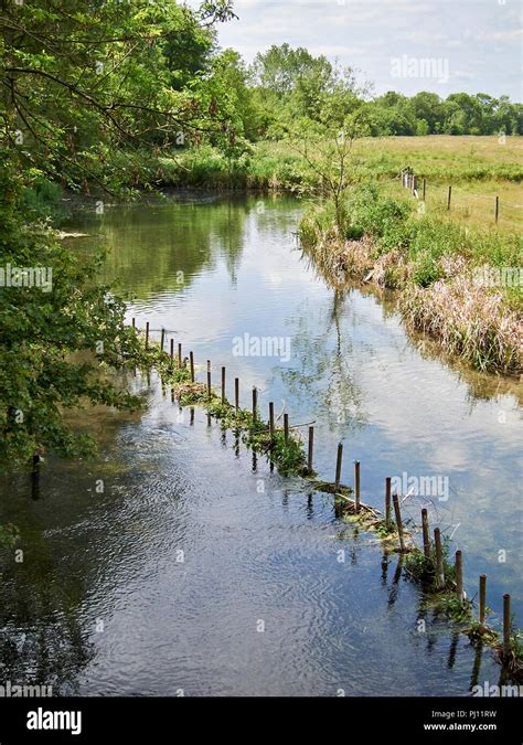 Chalk Stream In English Countryside Stock Photo Alamy