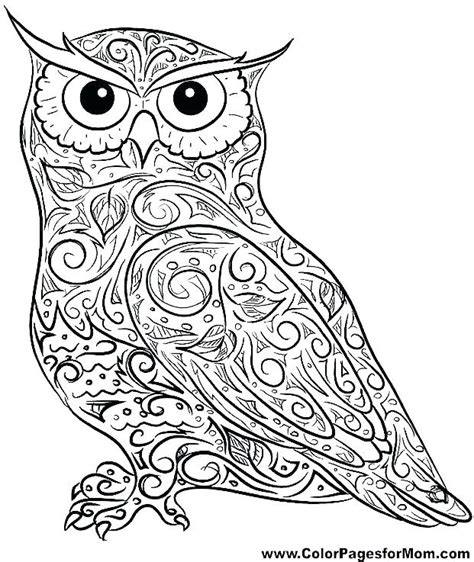 Baby Owl Coloring Pages At Free