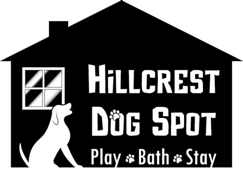Hillcrest Dog Spot Your Dogs Favorite Doggy Daycare