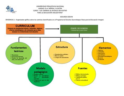 Mapa Conceptual Del Curriculum Plan De Estudios Aprendizaje