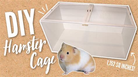 How To Make Homemade Hamster Cages