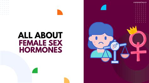 Female Sex Hormones Types And More Working For Health