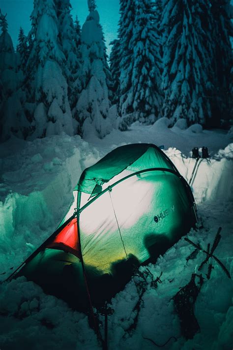 Hd Wallpaper Green Tent Near Pine Trees During Winter Camping