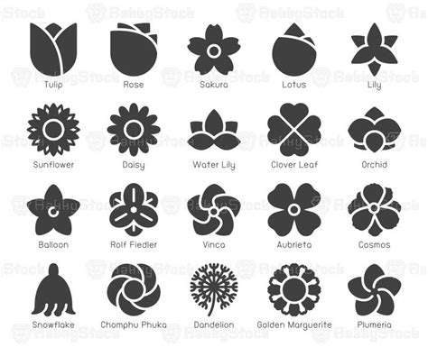 Flower Icons Vector Eps File Bunga Anggrek Desain Logo