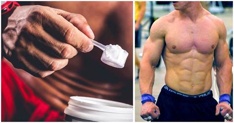 Trenbolone Cycle Bulking And Cutting Tren Cycle Results 2020