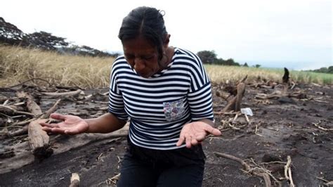 50 Anggota Keluarga Perempuan Ini Tewas Akibat Letusan Gunung Guatemala